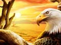 Ойын Eagle