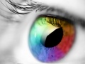 Ойын Colours And Designs