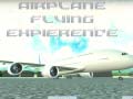 Ойын Airplane Flying Expierence