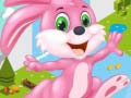 Ойын Bunny Run
