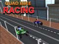 Ойын Quad Bike Racing