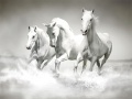 Ойын Horses Puzzle