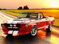 Ойын Fancy Mustang Differences