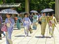 Ойын 100 Butterflies in Japan