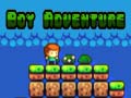 Ойын Boy Adventure