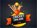 Ойын Cricket Online