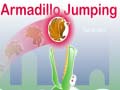 Ойын Armadillo Jumping