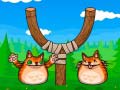 Ойын Shot The Angry Cat