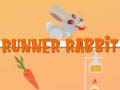 Ойын Runner Rabbit