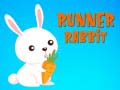 Ойын Runner Rabbit
