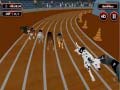 Ойын Crazyl Dog Racing Fever