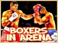 Ойын Boxers in Arena