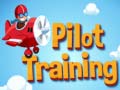 Ойын Pilot Training