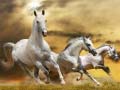 Ойын Running Horse Slide