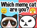 Ойын Which Meme Cat Are You?