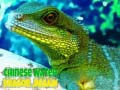 Ойын Chinese Water Dragon Jigsaw