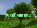Ойын Pixel Hunting