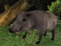 Ойын Wild boar Hunting