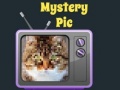 Ойын Mystery Pic
