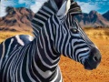 Ойын Zebra Hunter