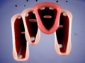 Ойын Crazy Lips
