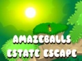 Ойын Amazeballs Estate Escape