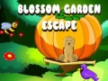 Ойын Blossom Garden Escape