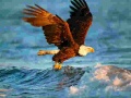 Ойын Animals Jigsaw Puzzle Eagle