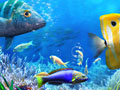 Ойын Let's Fish