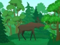 Ойын Wild Animals Coloring