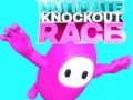 Ойын Ultimate Knockout Race