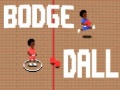 Ойын Bodge Dall