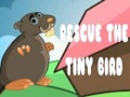 Ойын Rescue The Tiny Bird