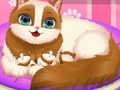 Ойын Cute Kitty Pregnant