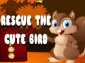 Ойын Rescue The Cute Bird
