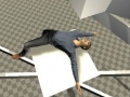 Ойын Ragdoll Test