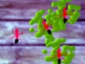 Ойын Smash Ants