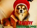 Ойын Funny Christmas Dogs