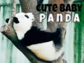 Ойын Cute Baby Panda