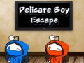 Ойын Delicate Boy Escape