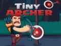 Ойын Tiny Archer