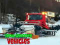 Ойын Snow Groomer Vehicles