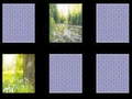 Ойын Nature Memory