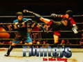 Ойын Fighters in the Ring