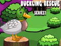 Ойын Duckling Rescue Series1