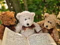 Ойын Cuddly Three Teddy Jigsaw