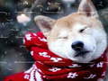 Ойын Winter Pets Puzzle