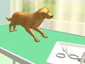 Ойын Paw Care