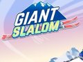 Ойын Giant Slalom