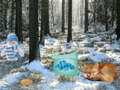 Ойын Winter Wonderland Forest Adventure